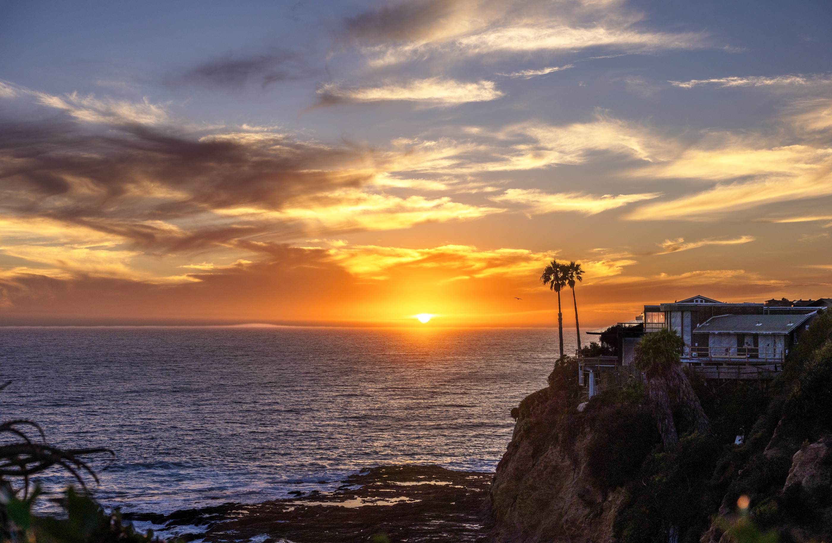 Golden sunset over the ocean with palm trees and homes on a coastal cliff